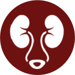 1744781750_Icon 20.png